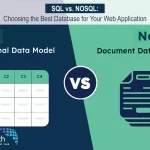 Choosing the Best Database for Your Web Application