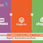 E-commerce Development