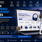 Custom E-Commerce Development Services