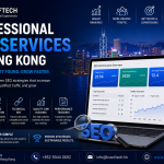 Professional SEO Services in Hong Kong